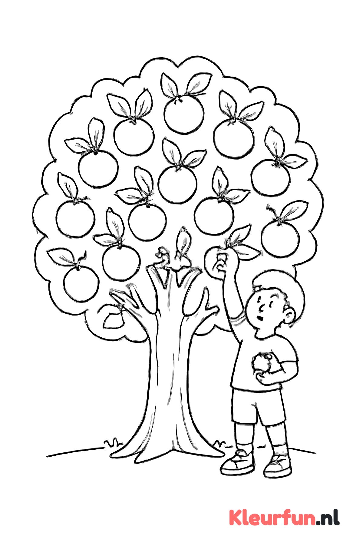 Appelboom met kind dat appels plukt