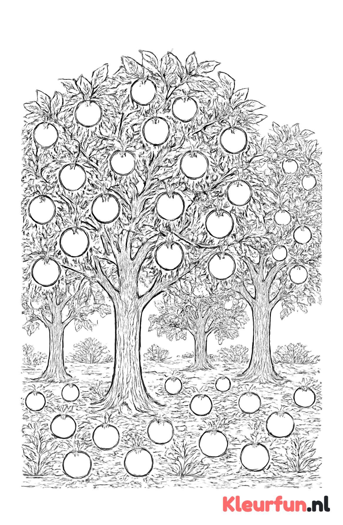Appelboomgaard met appels