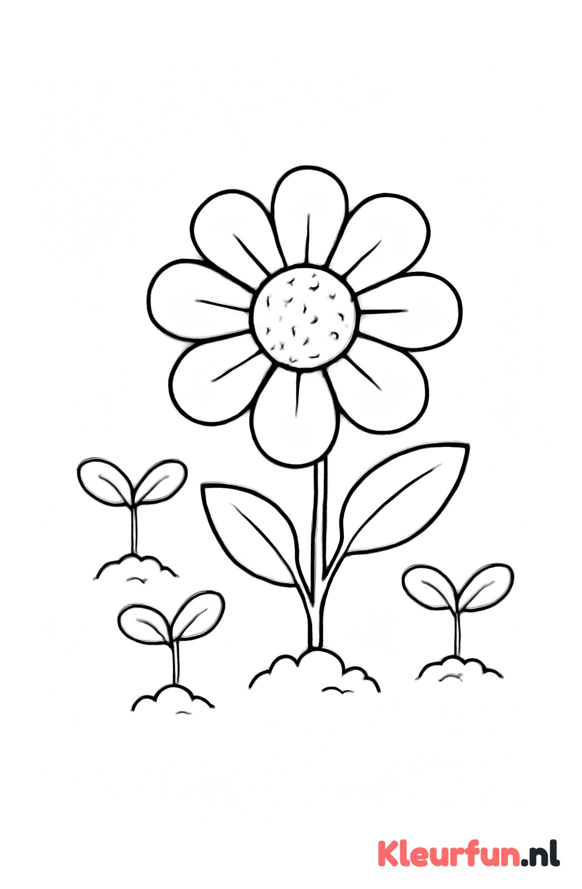 Bloem met jonge plantjes