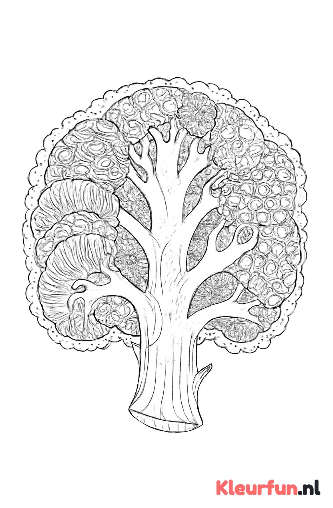 Bloemkool doorsnede met texturen