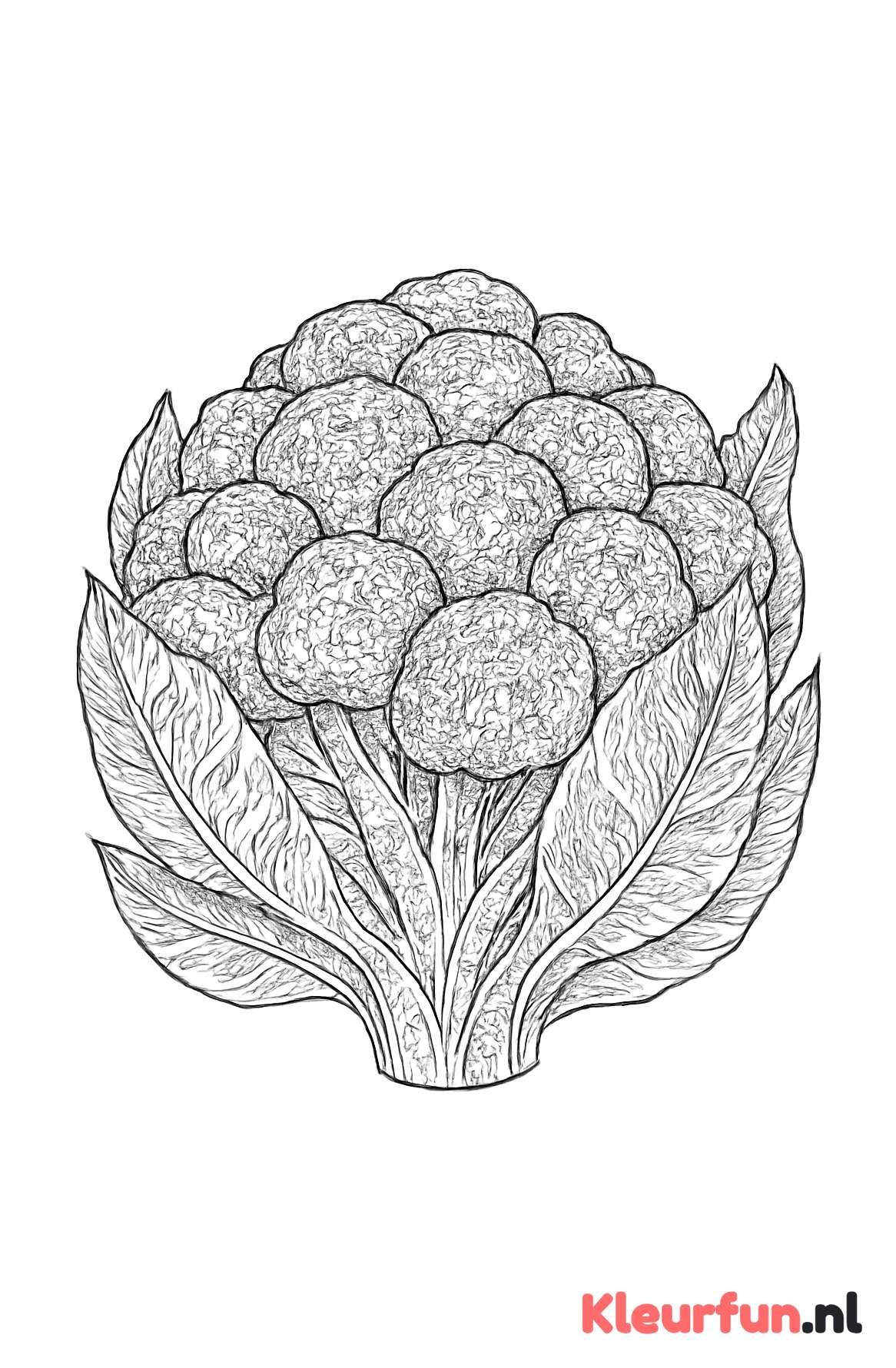 Bloemkool met ingewikkelde patronen