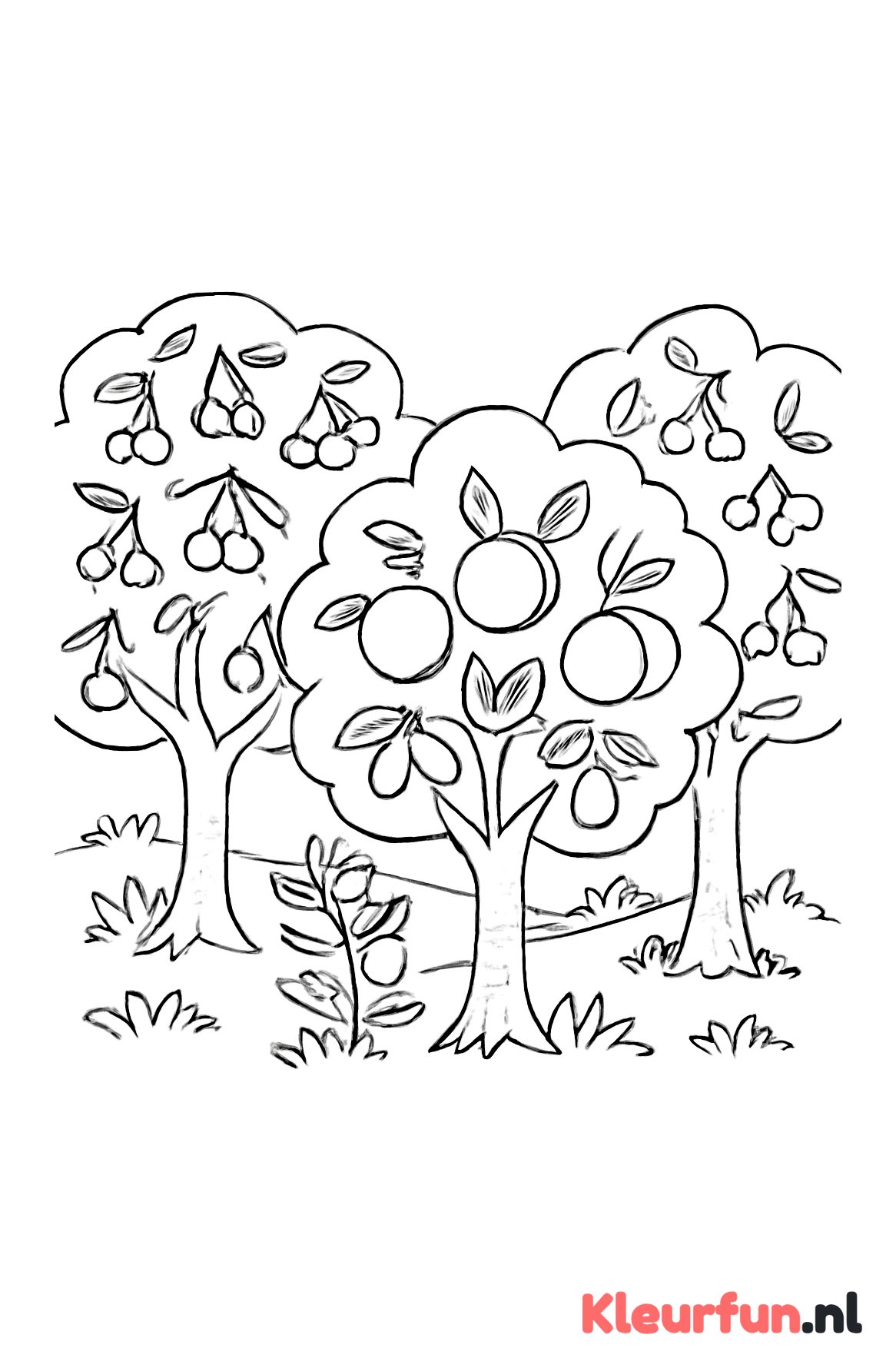 Boomgaard met fruitbomen