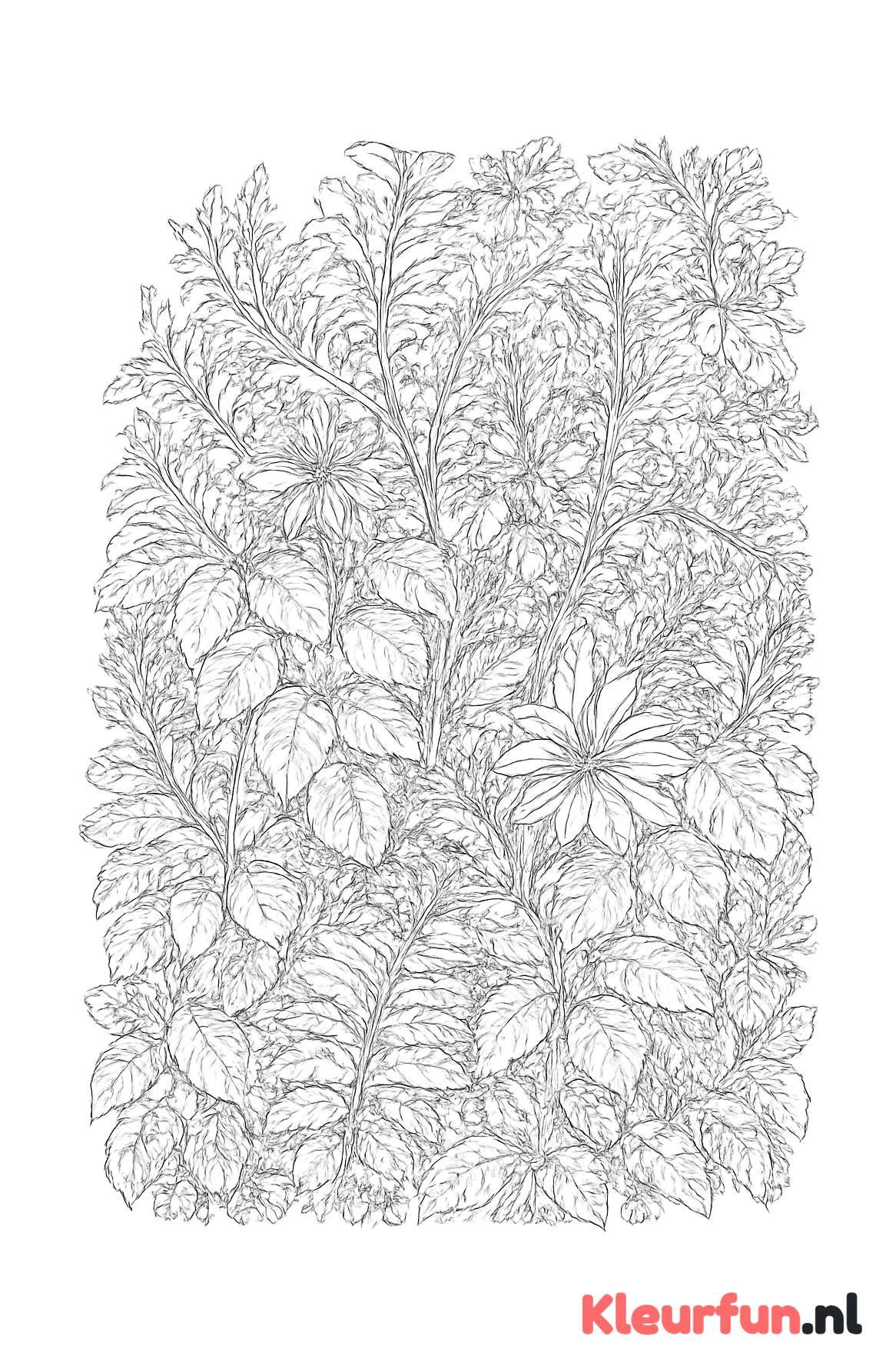 Bos vol planten en plantjes