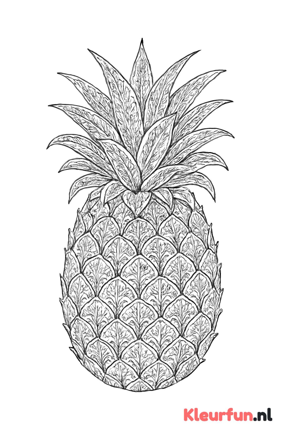 Botanische ananas met bladeren