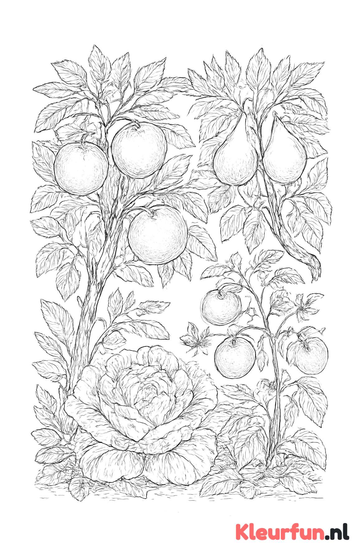 Botanische groenten en fruit planten