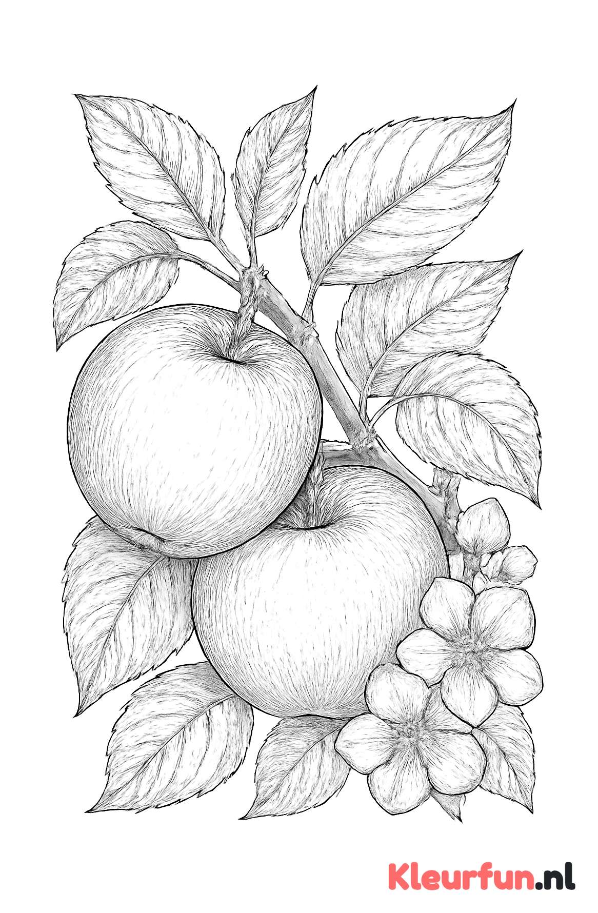 Close-up van appels aan een tak