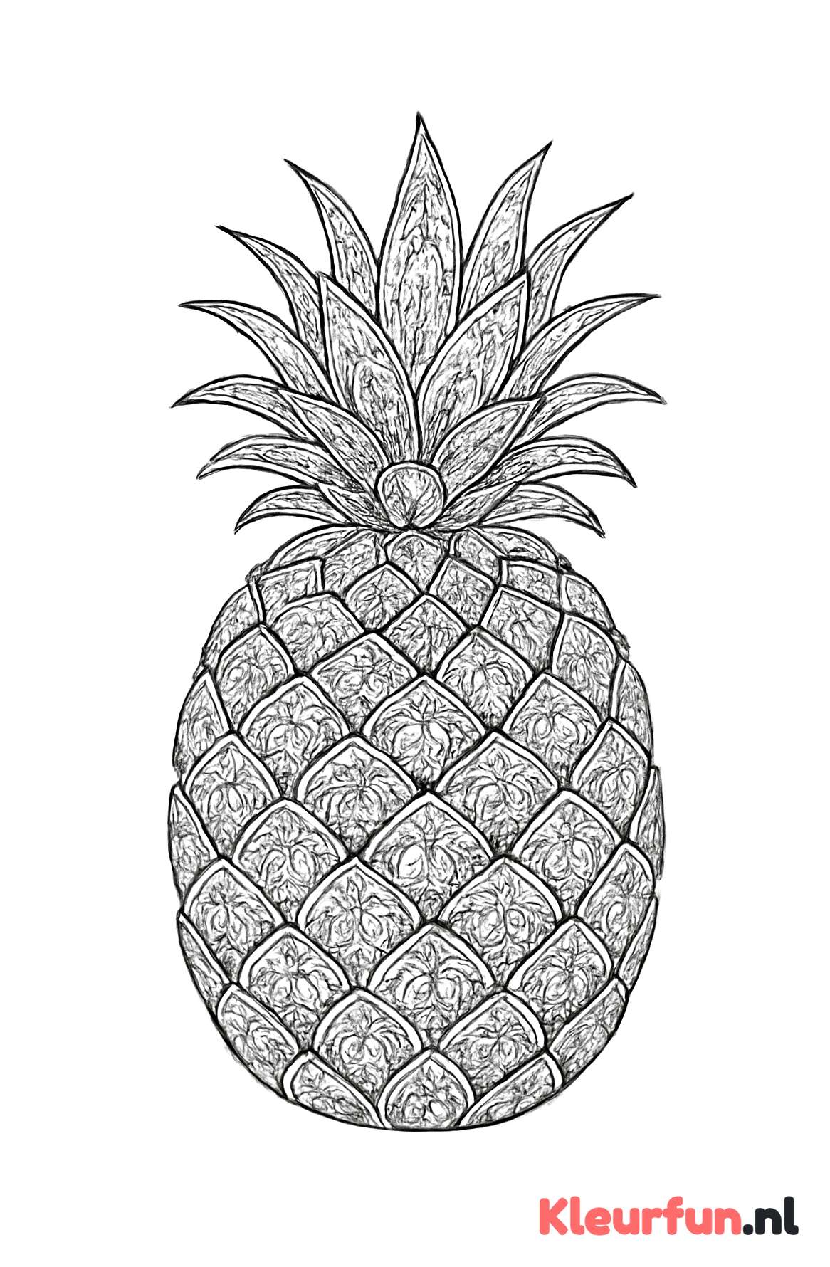 Gedetailleerde ananas met patronen