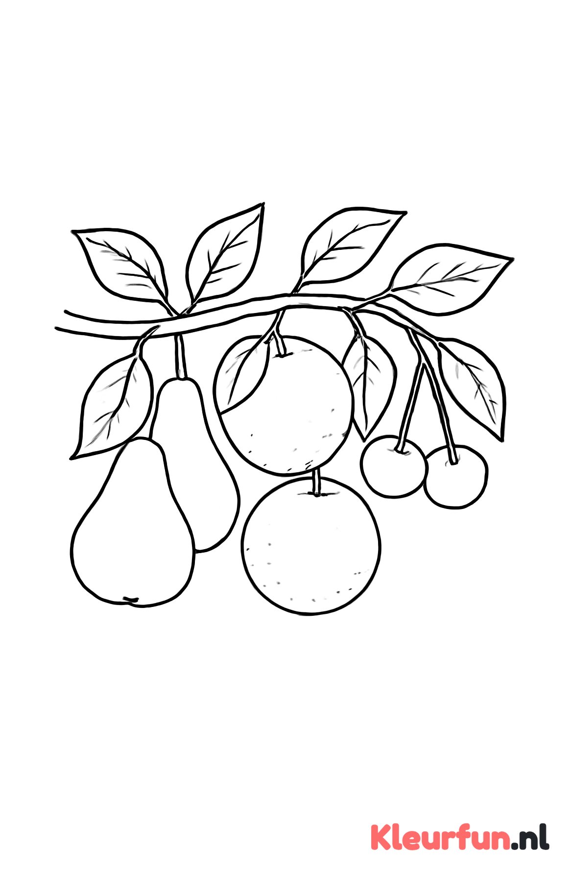 Fruit aan een tak