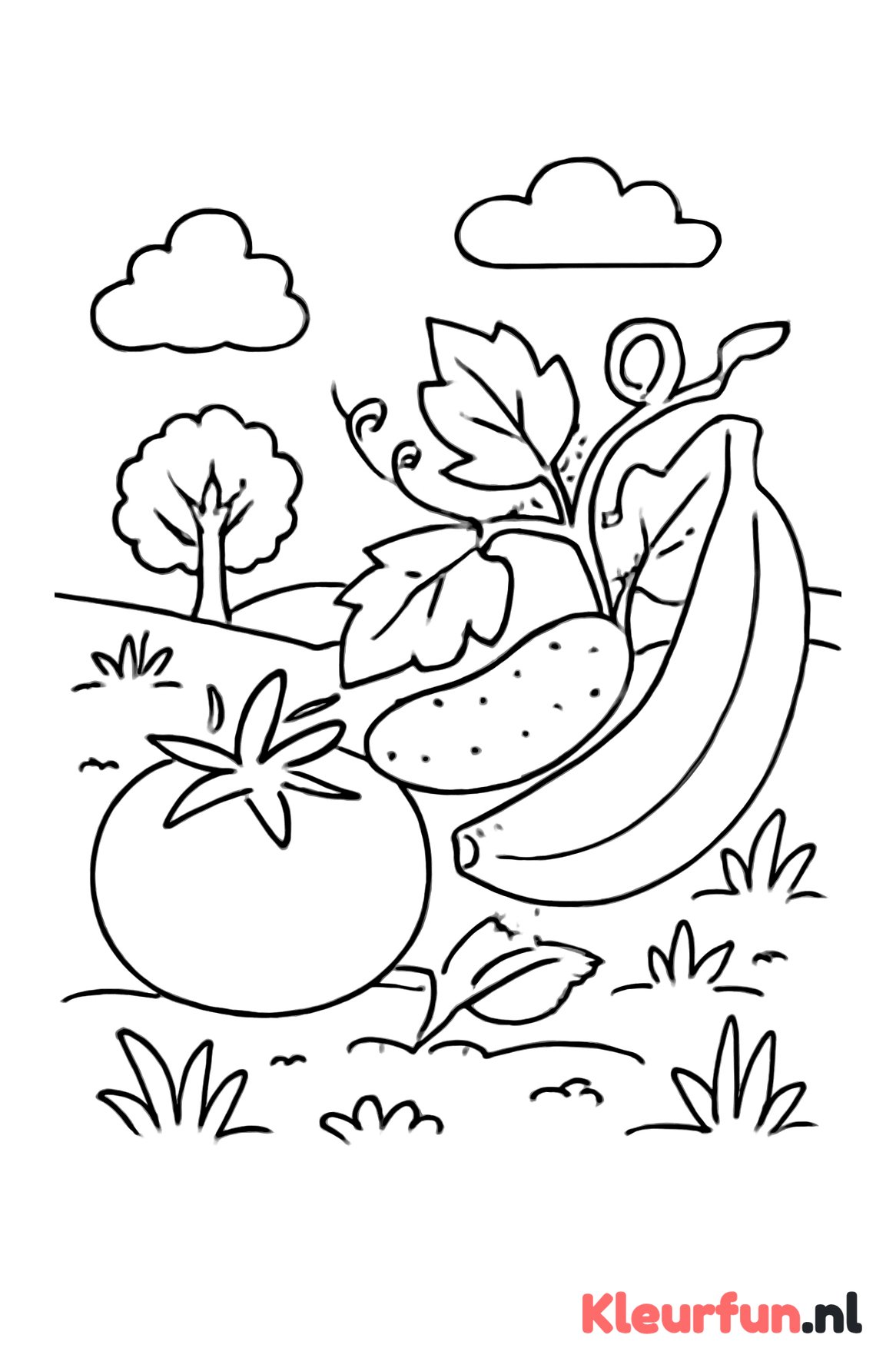 Fruit- en groentetuin