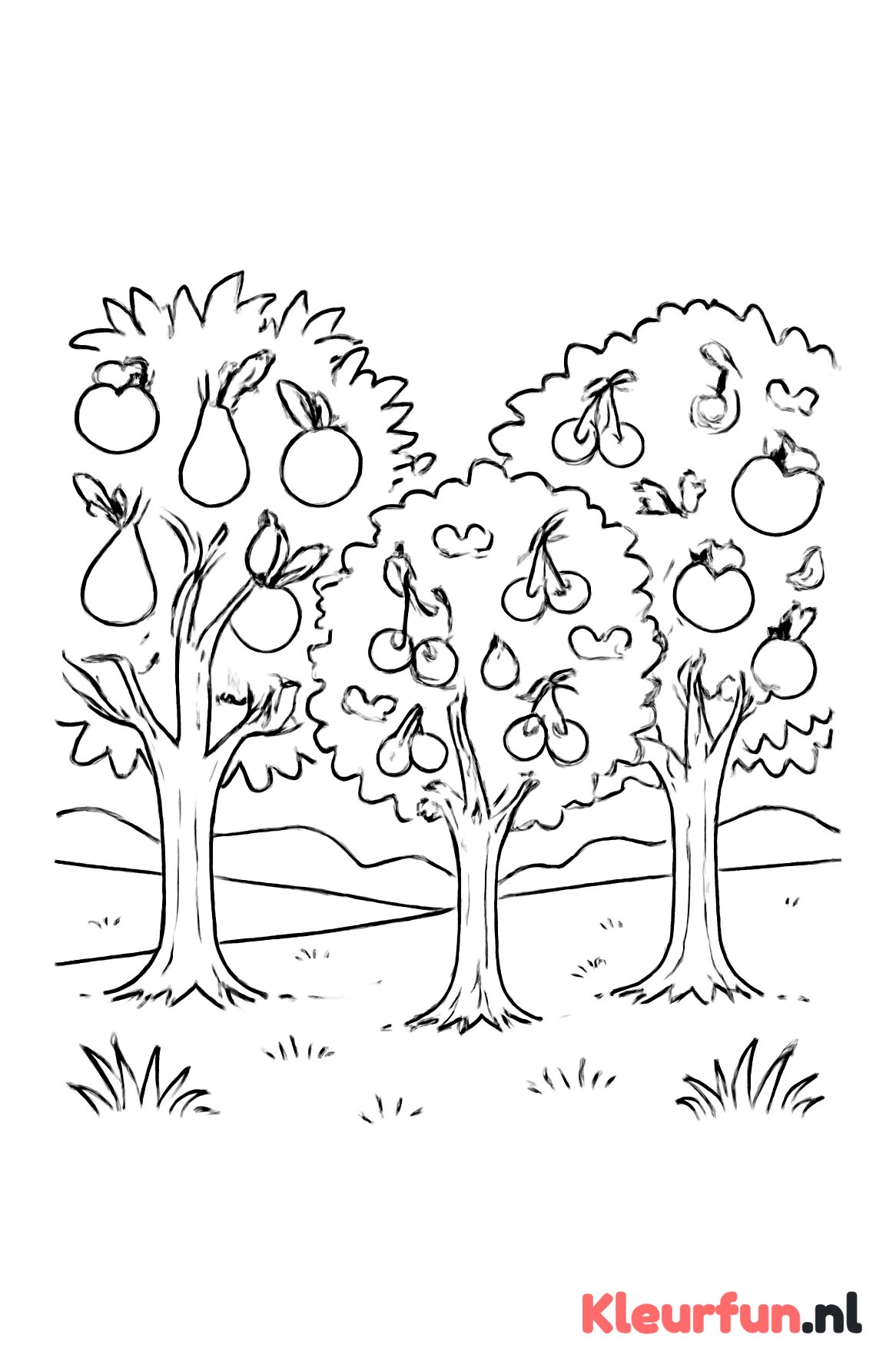 Fruitboomgaard met diverse fruitbomen