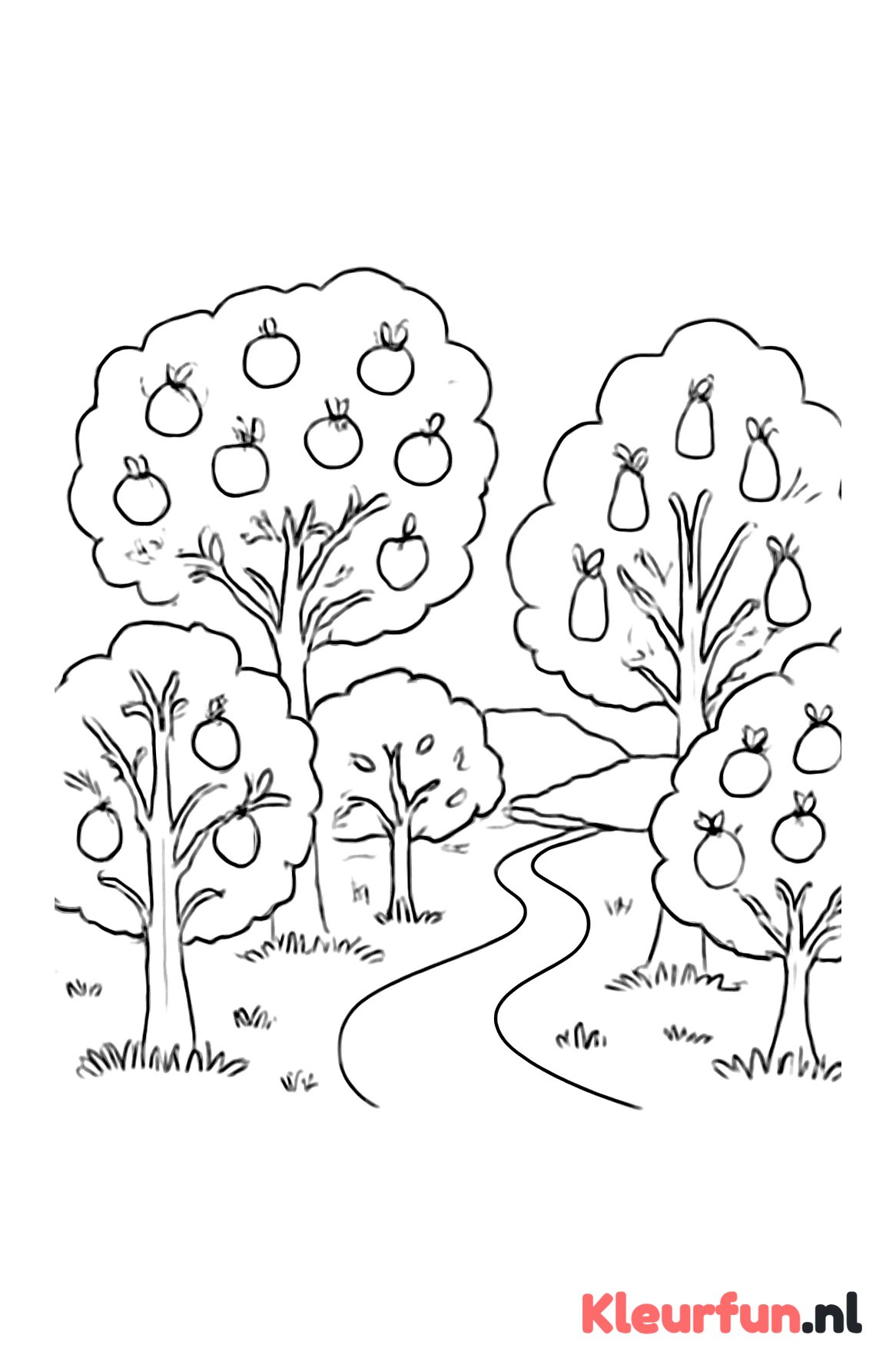Fruitboomgaard met appelbomen