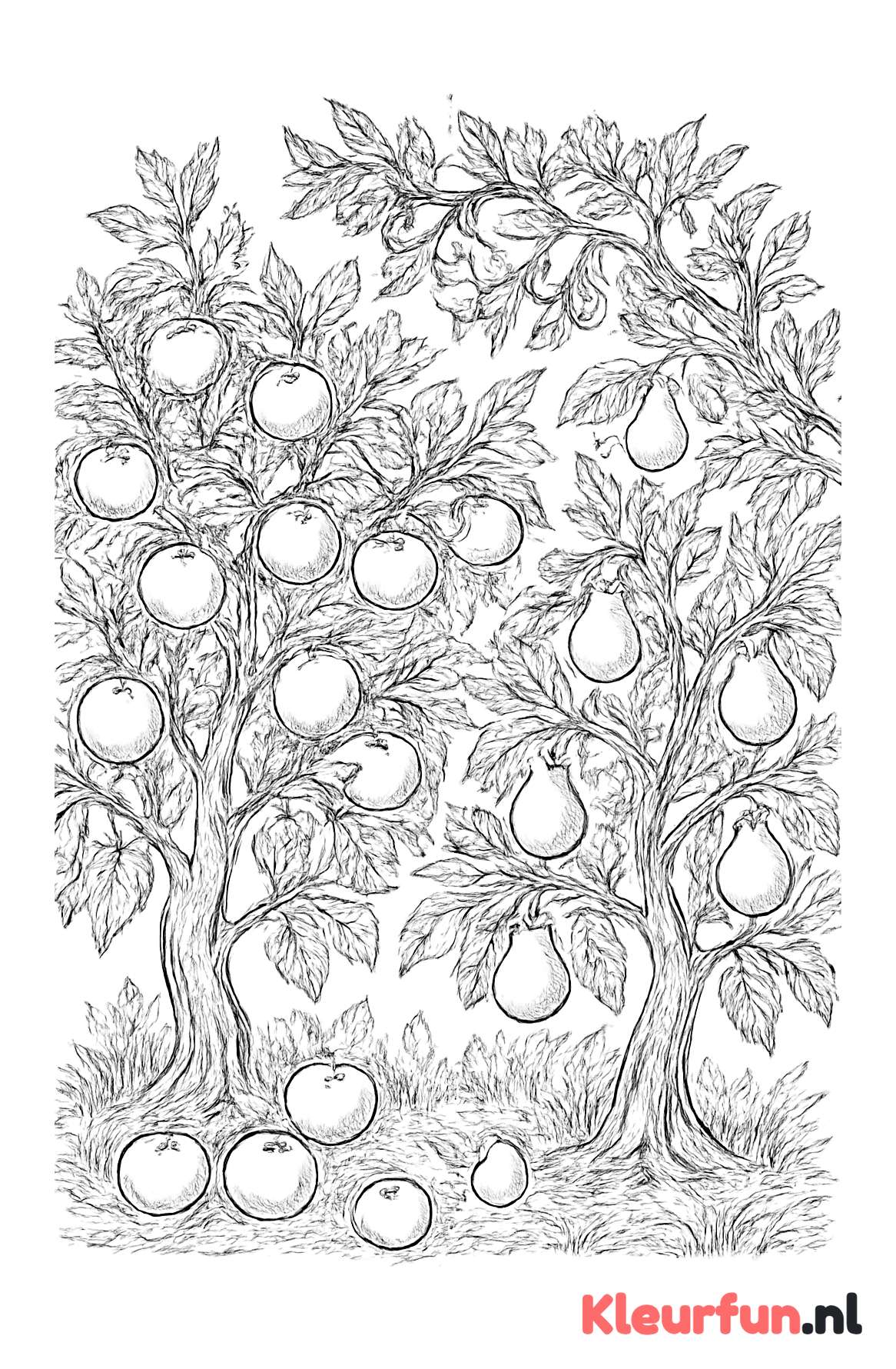 Gedetailleerde fruitboomgaard