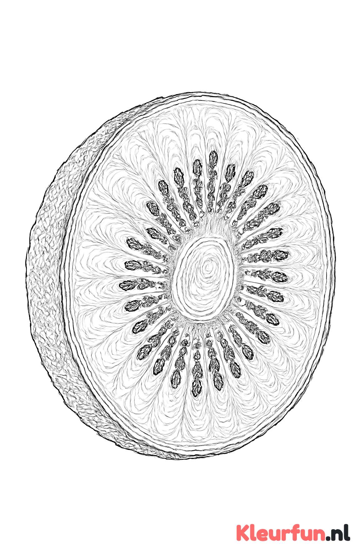Gesneden kiwi met gedetailleerde binnenkant