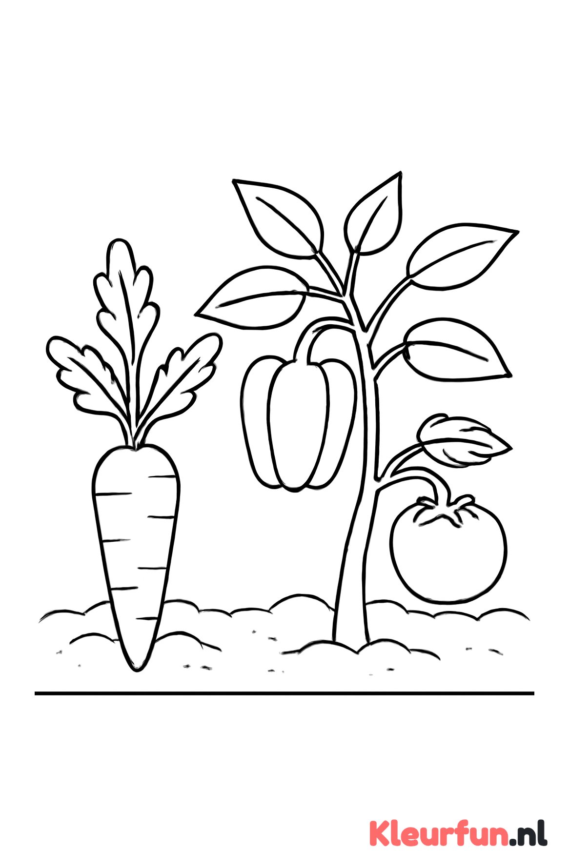 Groente in de tuin - basis planten