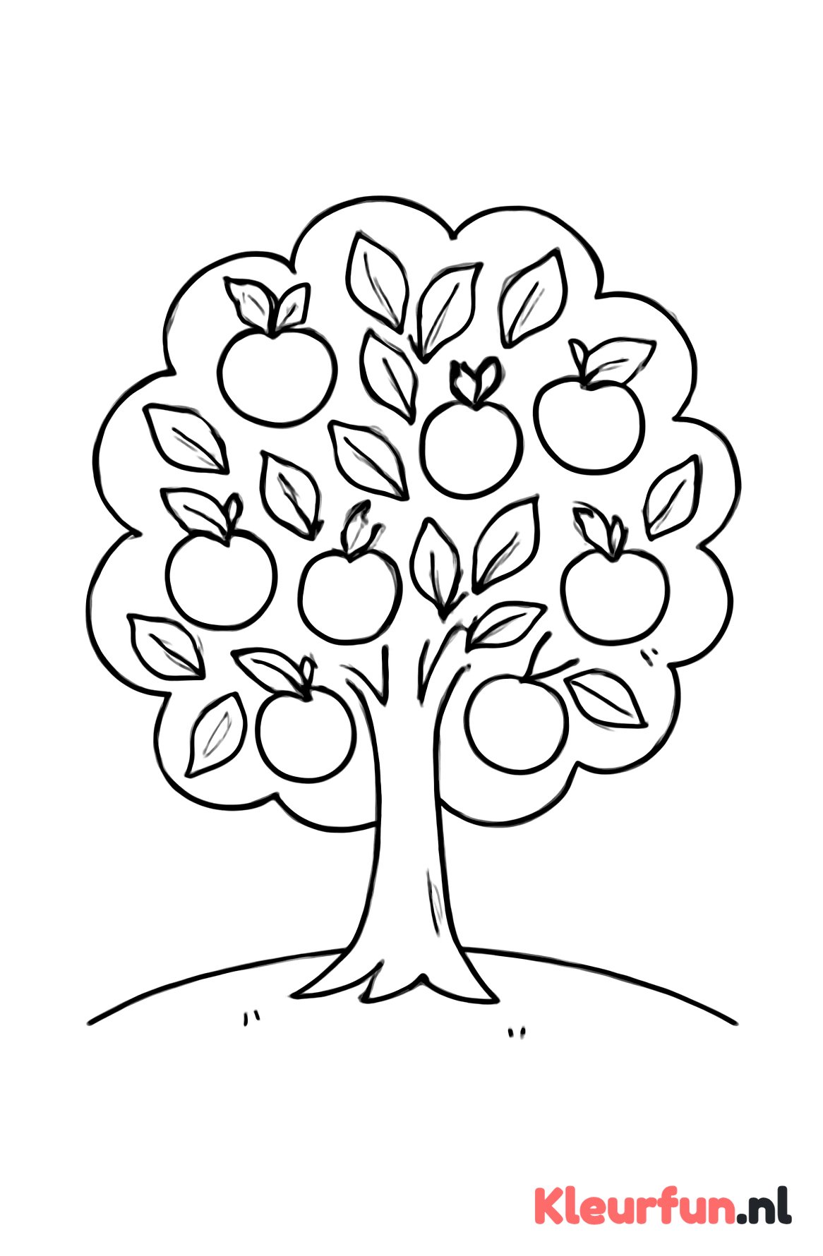 Grote appelboom met duidelijke lijnen