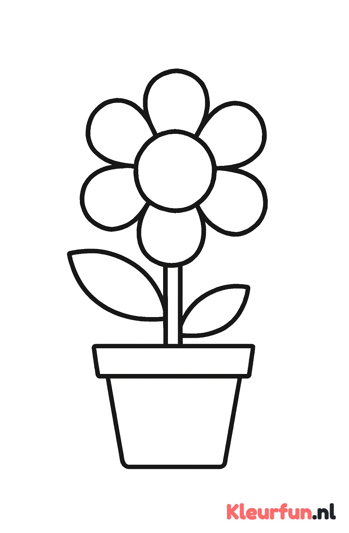 Grote bloem in pot