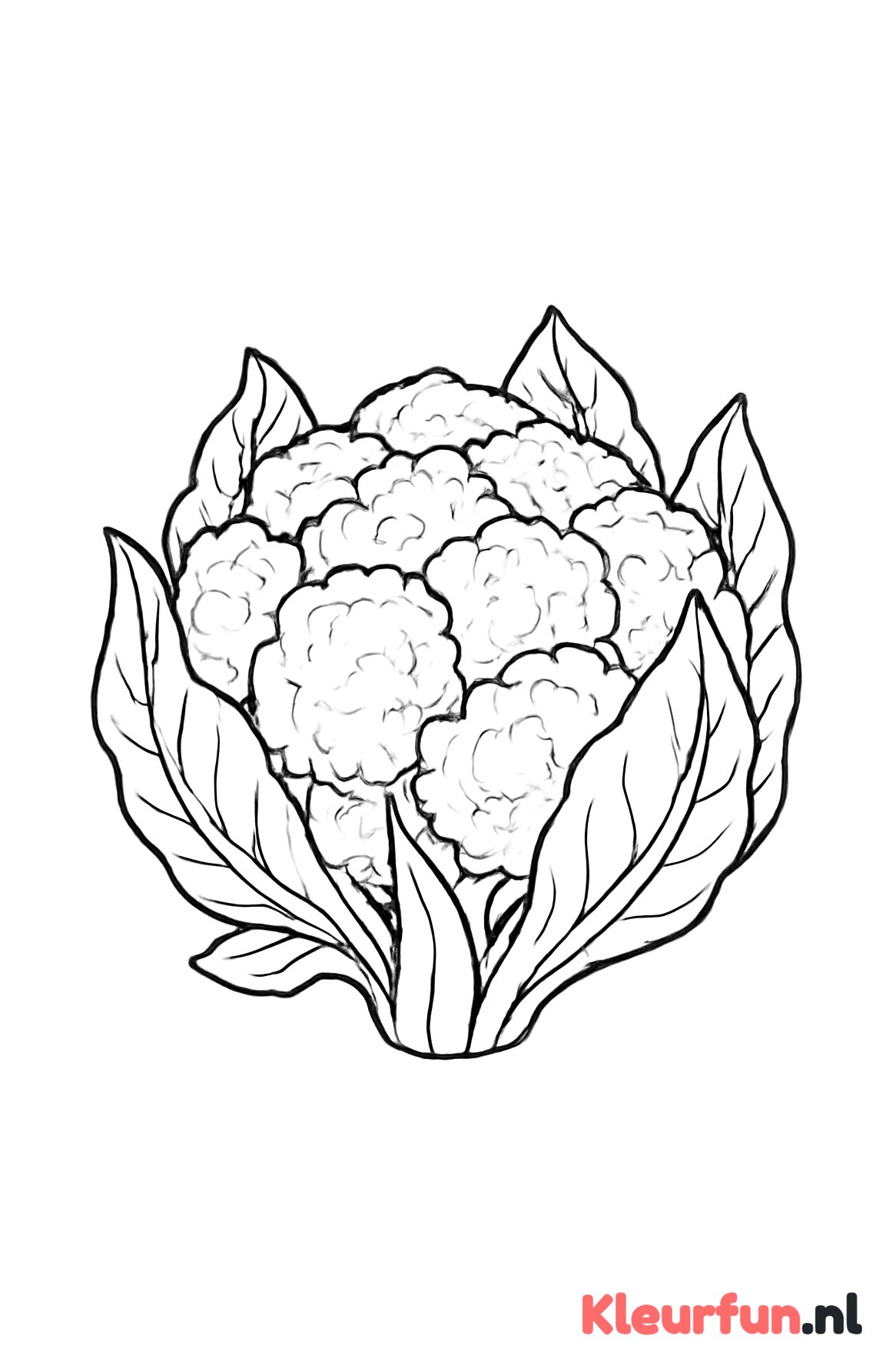 Grote bloemkool met duidelijke details