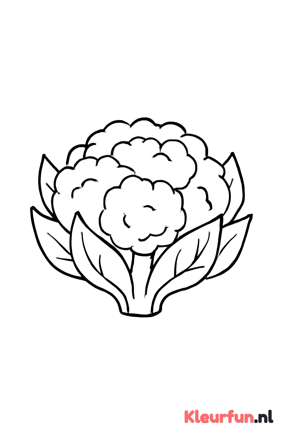 Grote bloemkool