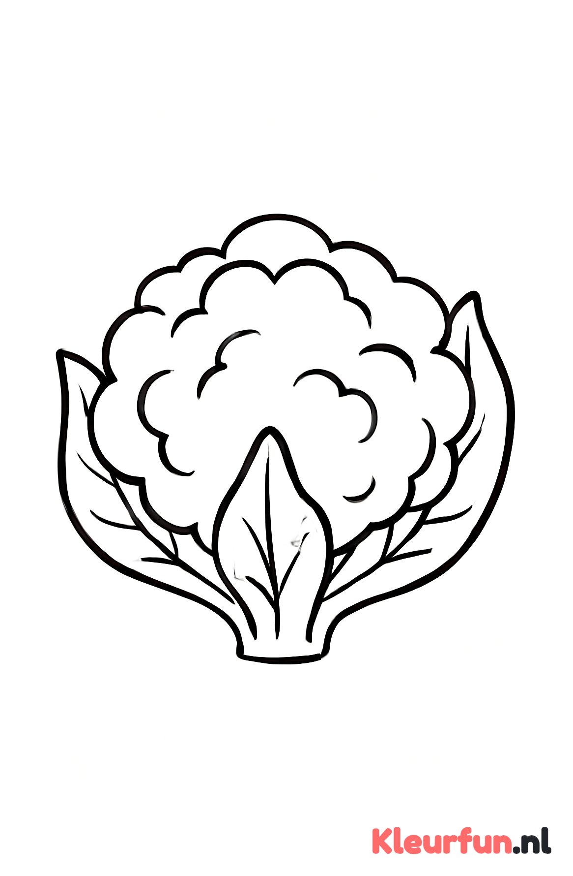 Grote bloemkool