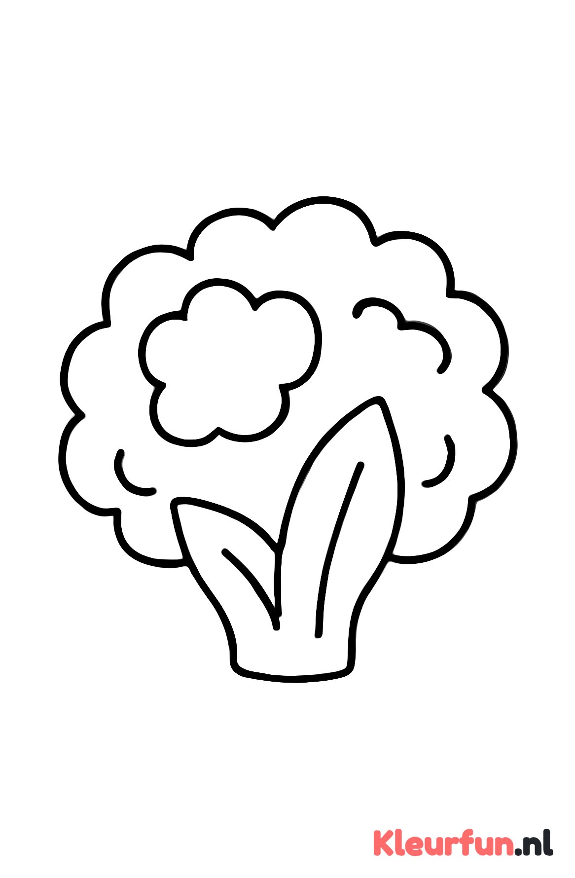 Grote eenvoudige bloemkool