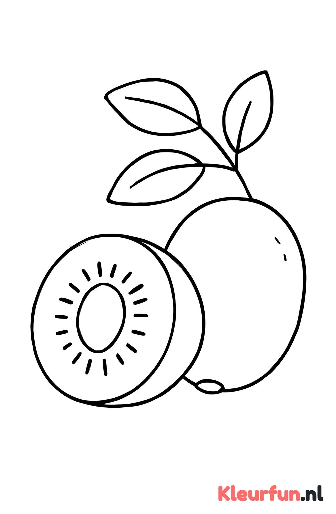 Grote kiwi met tak