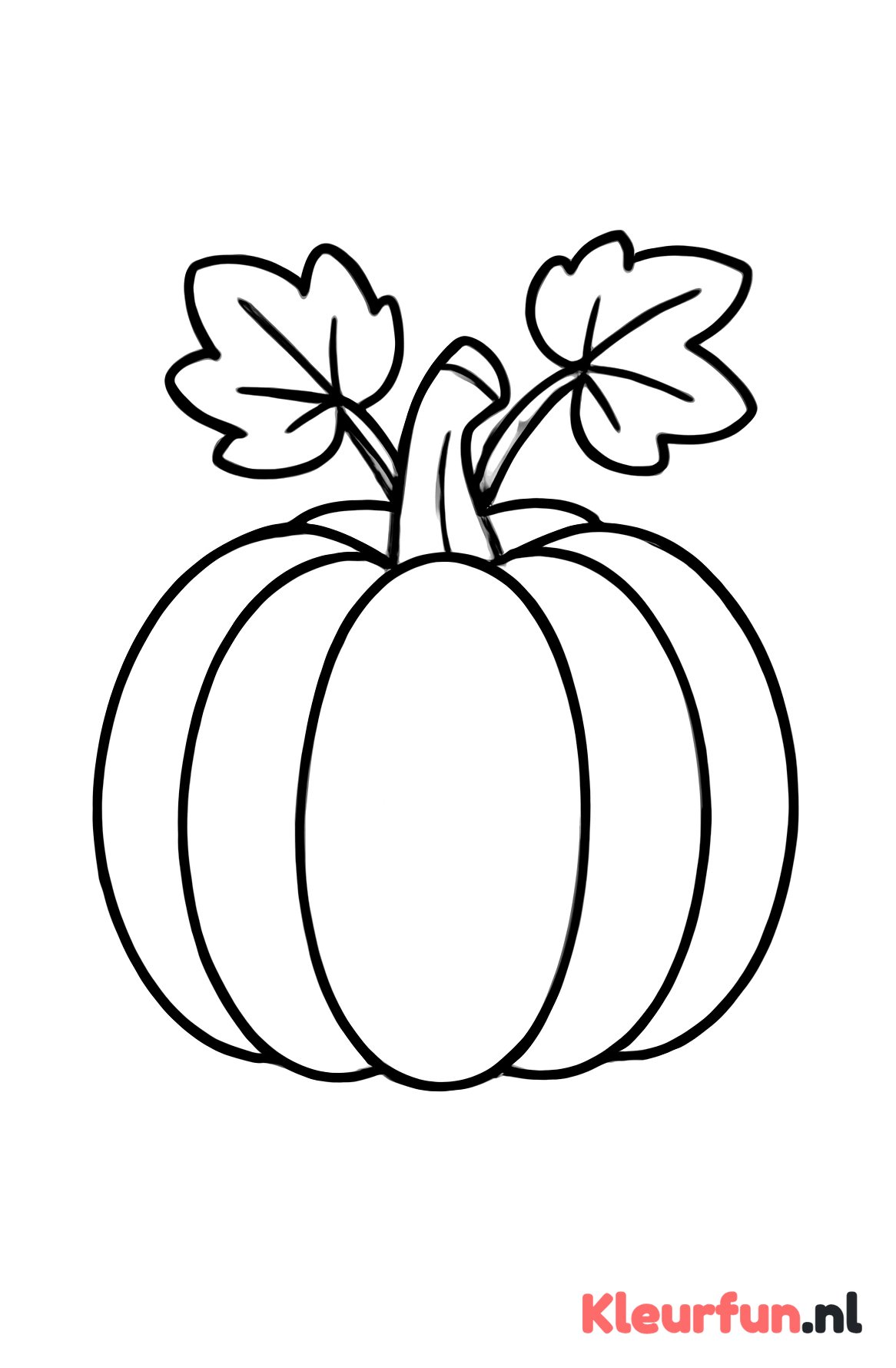 Grote pompoen met blad