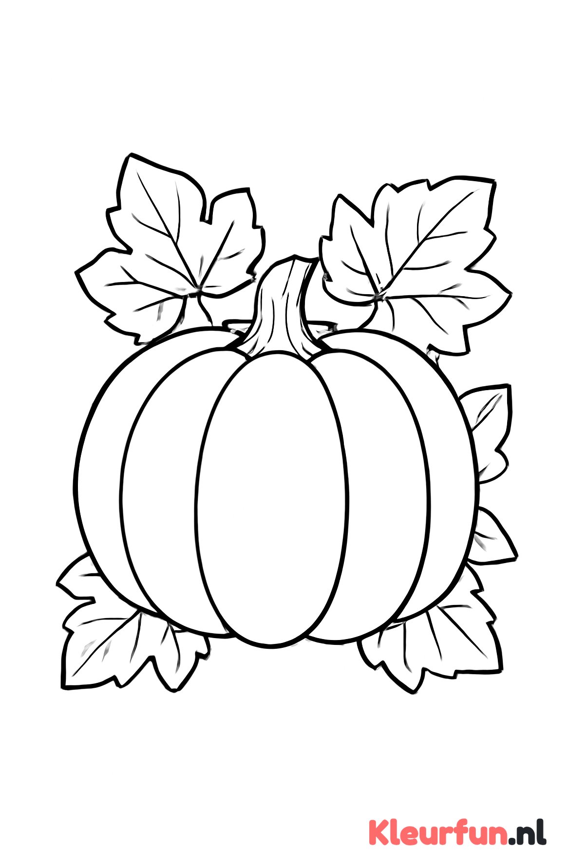 Grote pompoen met bladeren
