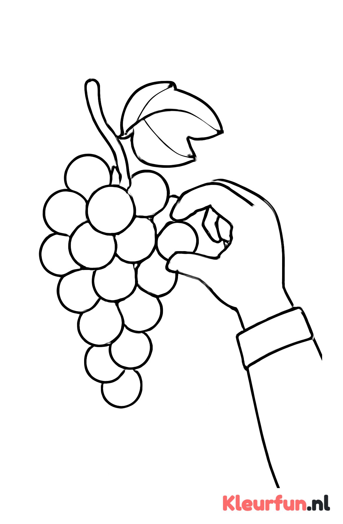 Hand plukt druif