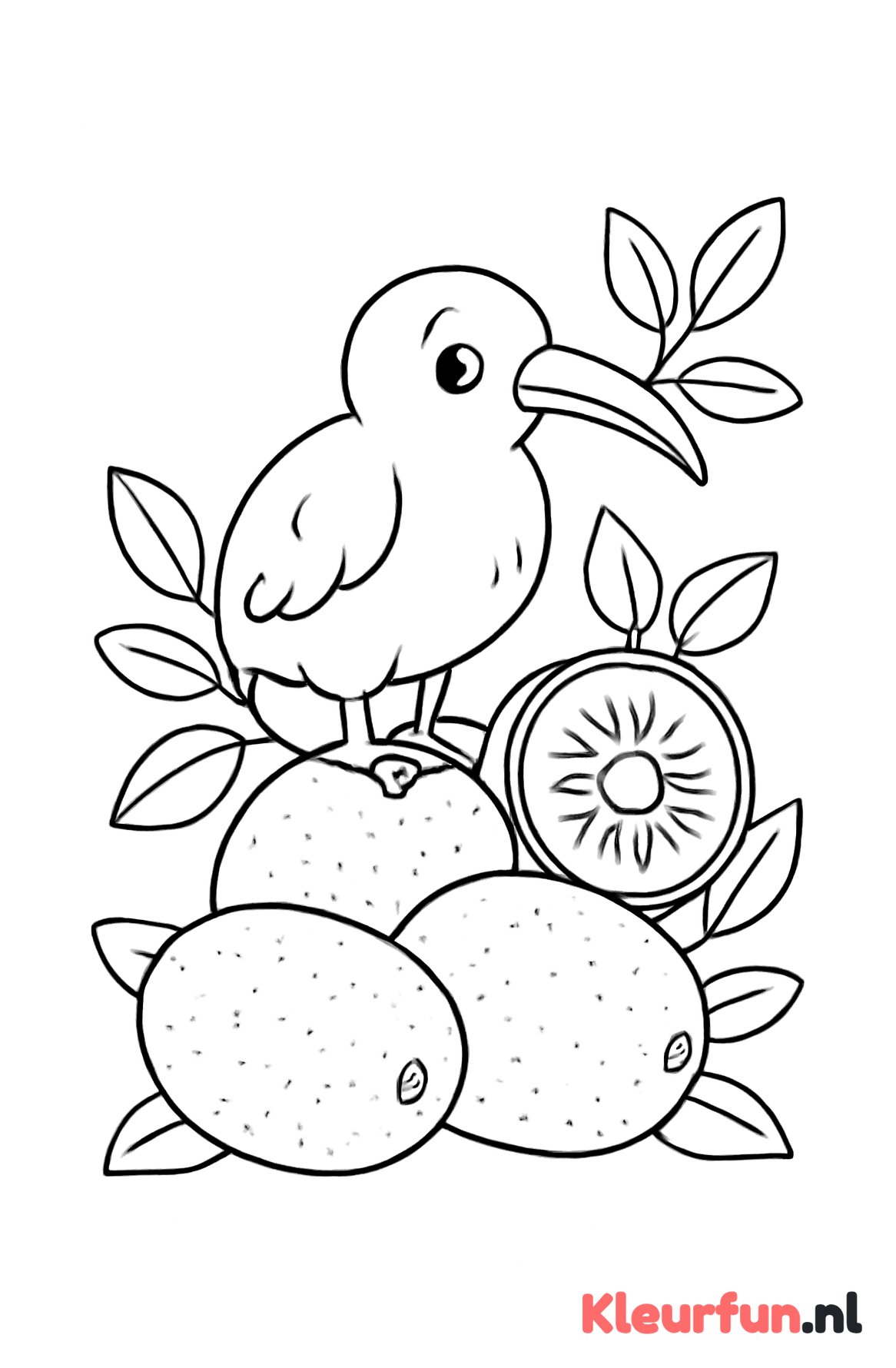 Kiwi vogel en vruchten