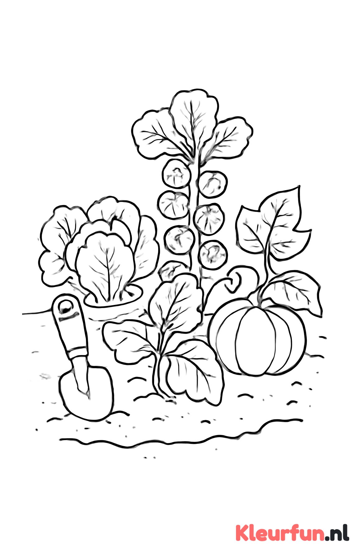 Moestuin met groente en tuingereedschap