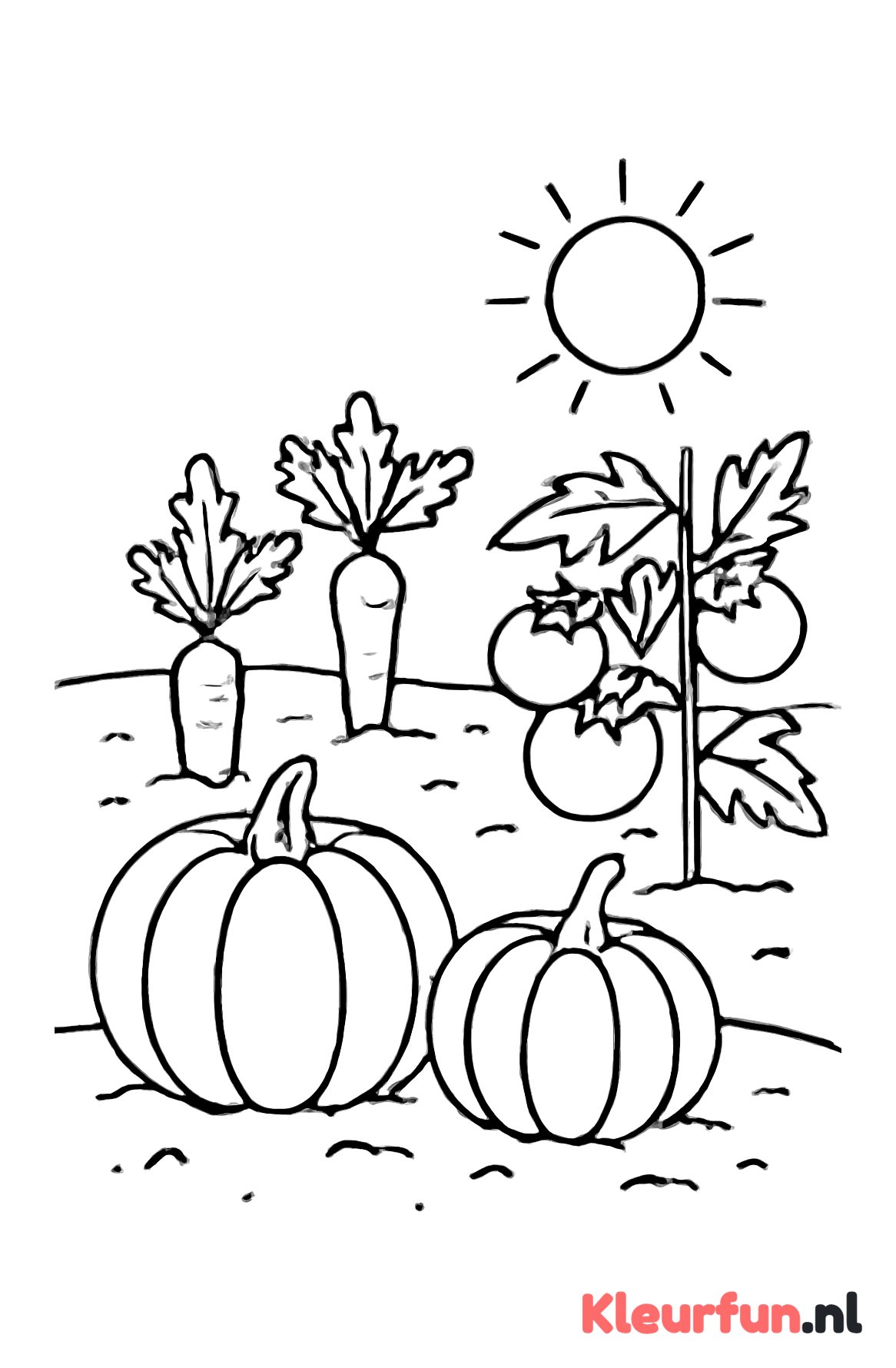 Moestuin met diverse groenten
