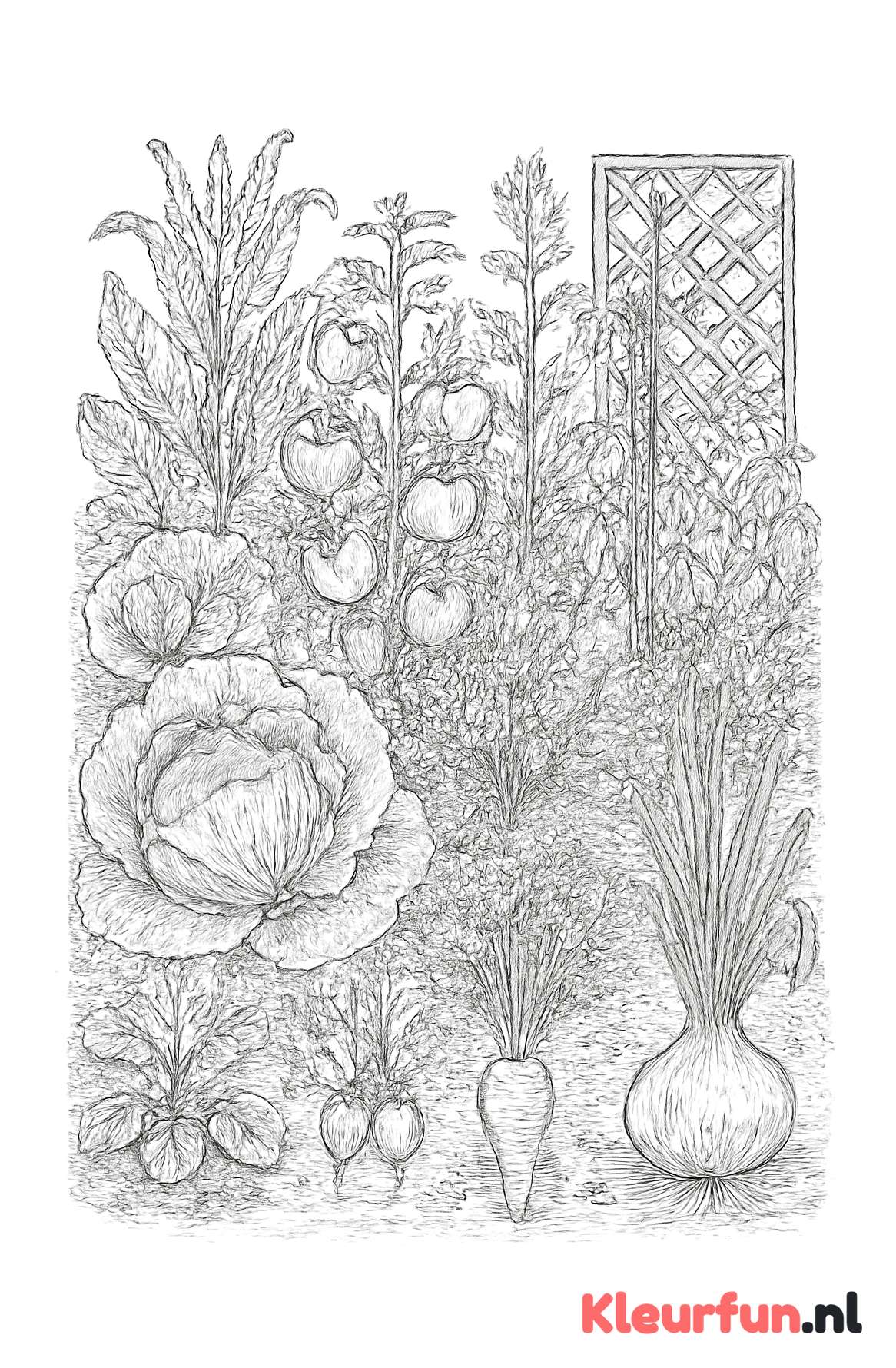 Moestuin vol groenten