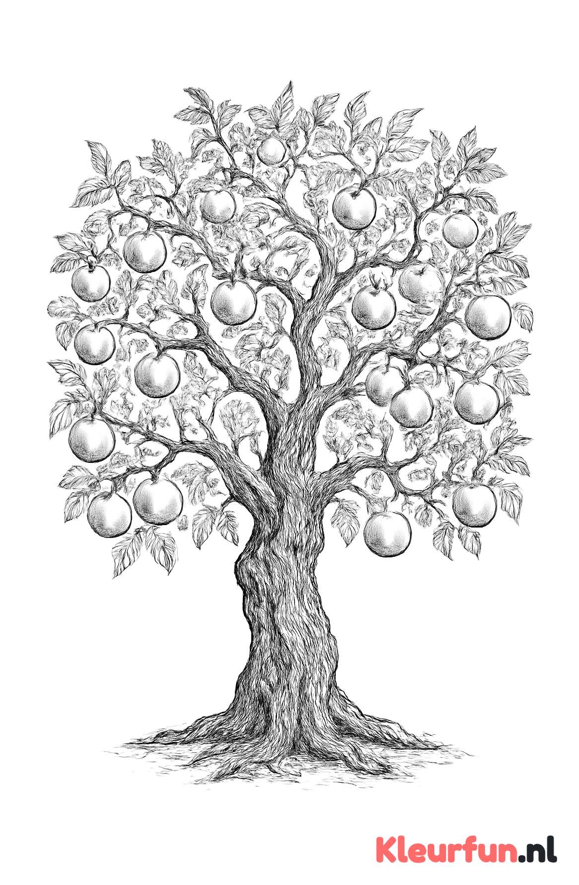 Oude appelboom met knoestige takken