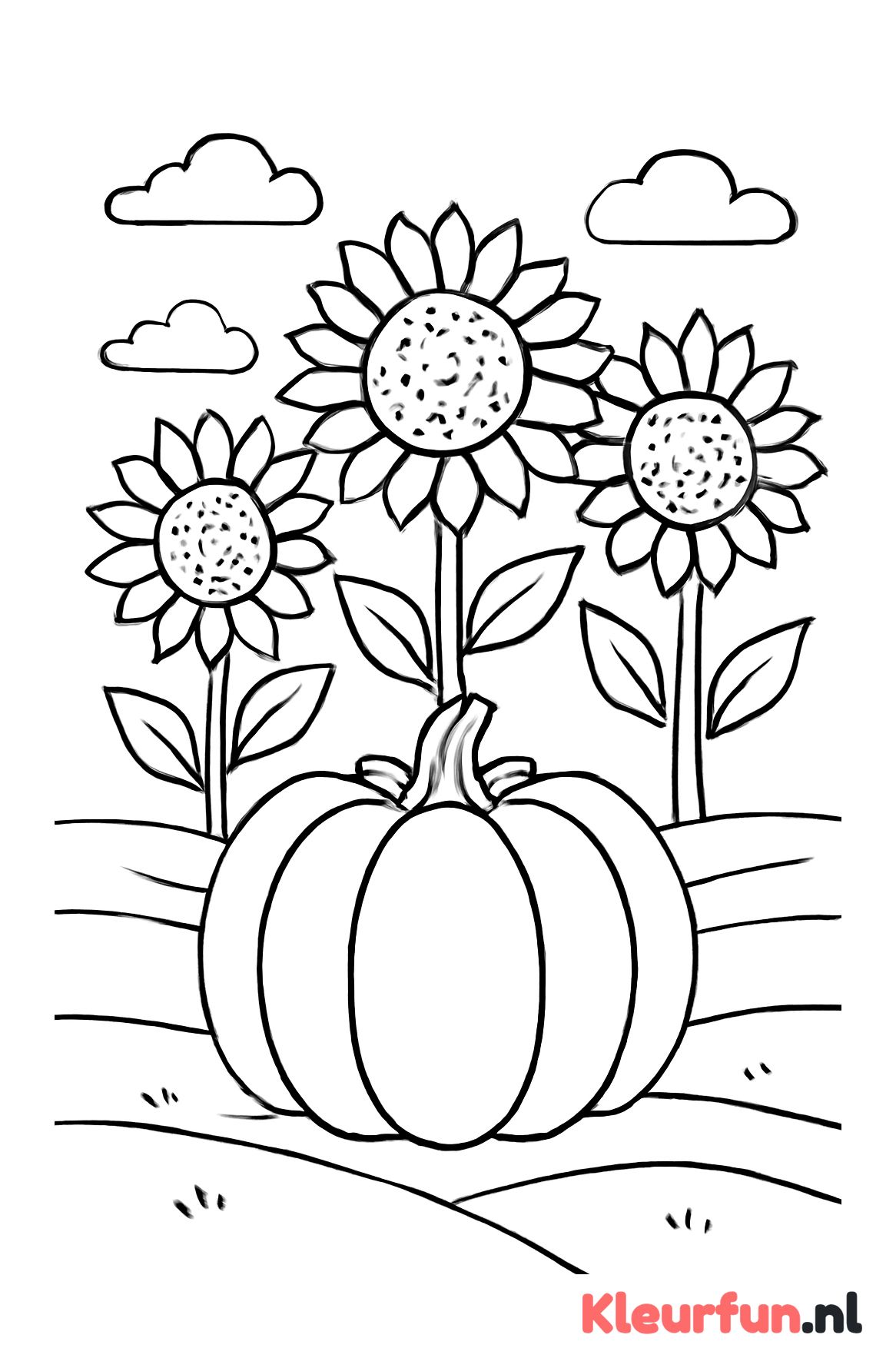 Pompoen op veld met zonnebloemen