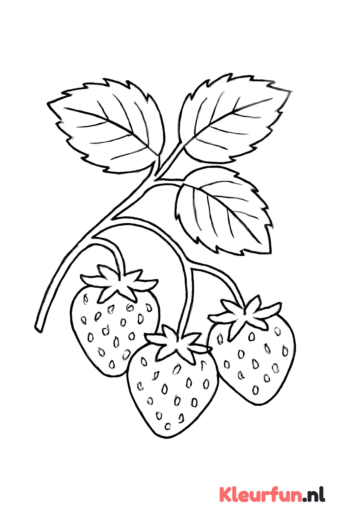 Rij aardbeien aan struik