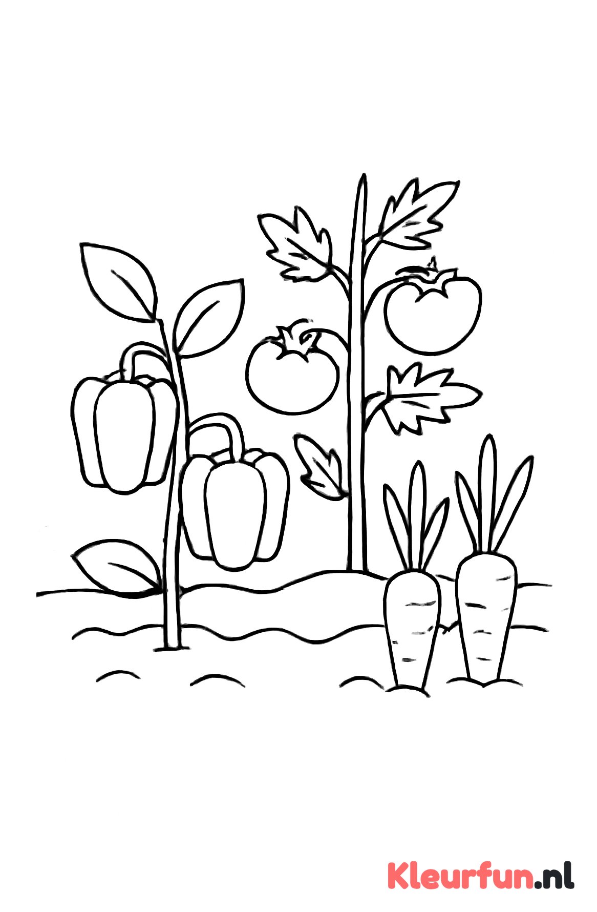 Simpele moestuin met groenteplanten