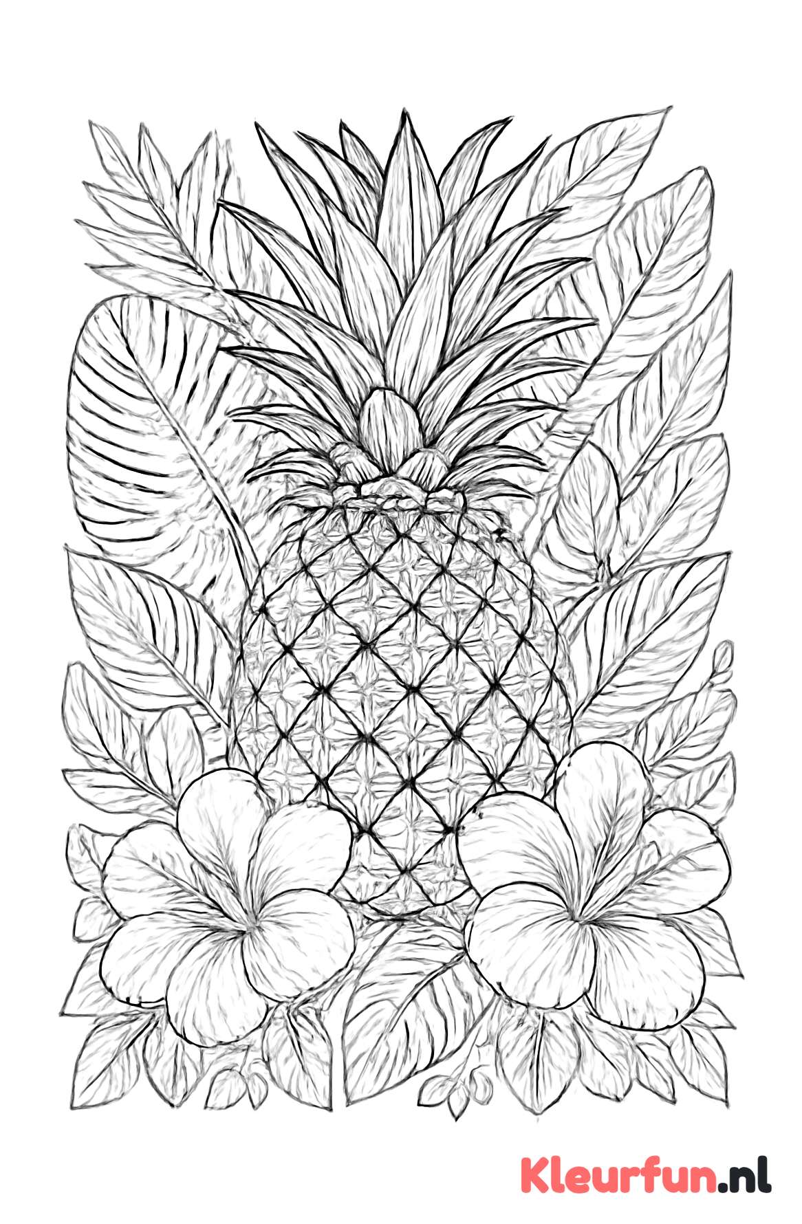 Tropische ananas met bladeren en bloemen