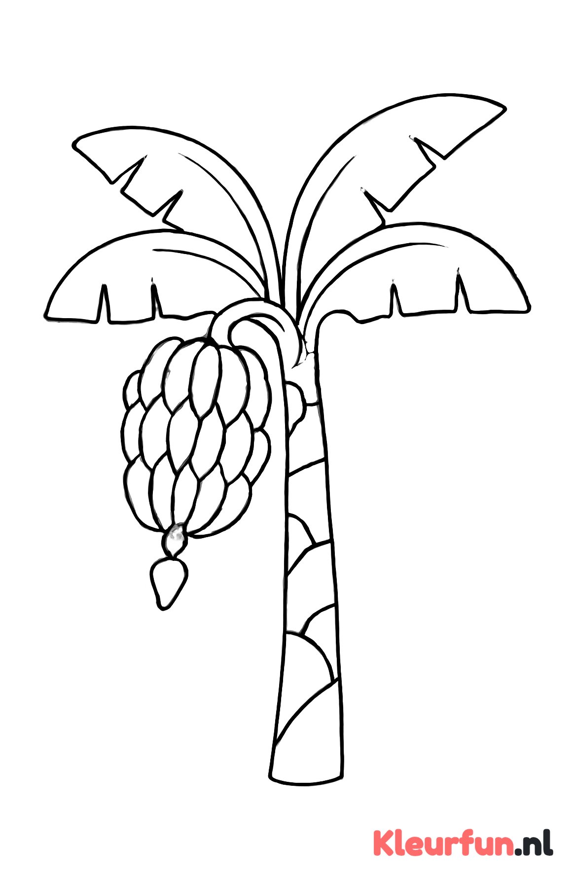 Tros bananen aan de boom