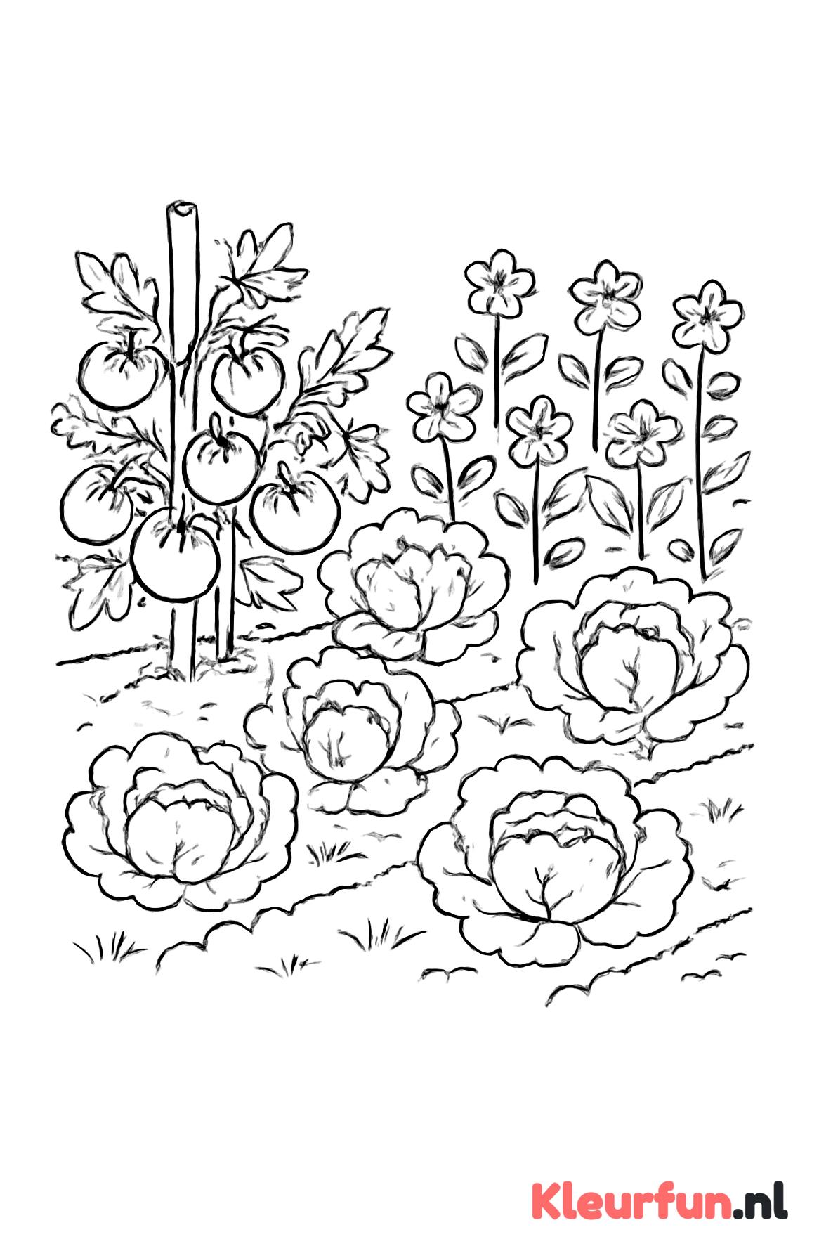 Tuin met groente en plantjes