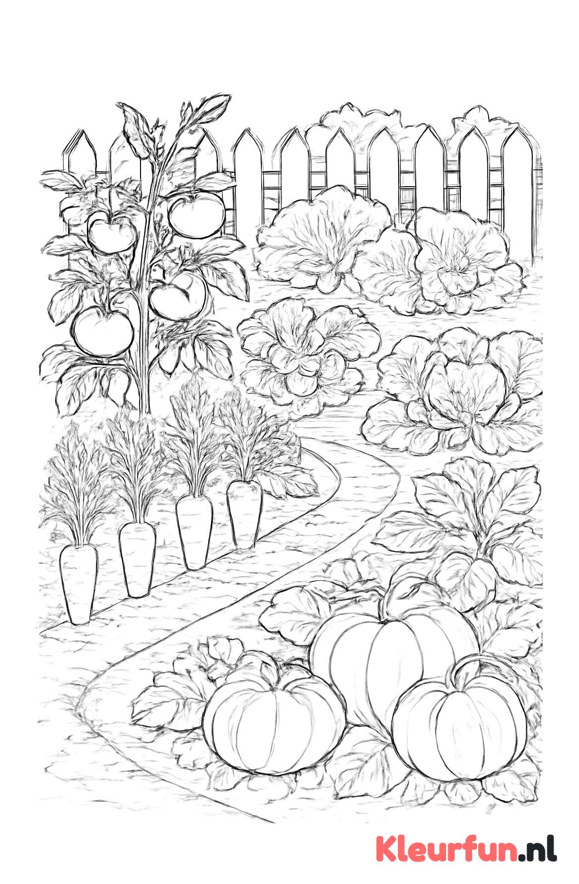 Uitgebreide moestuin met diverse groenten