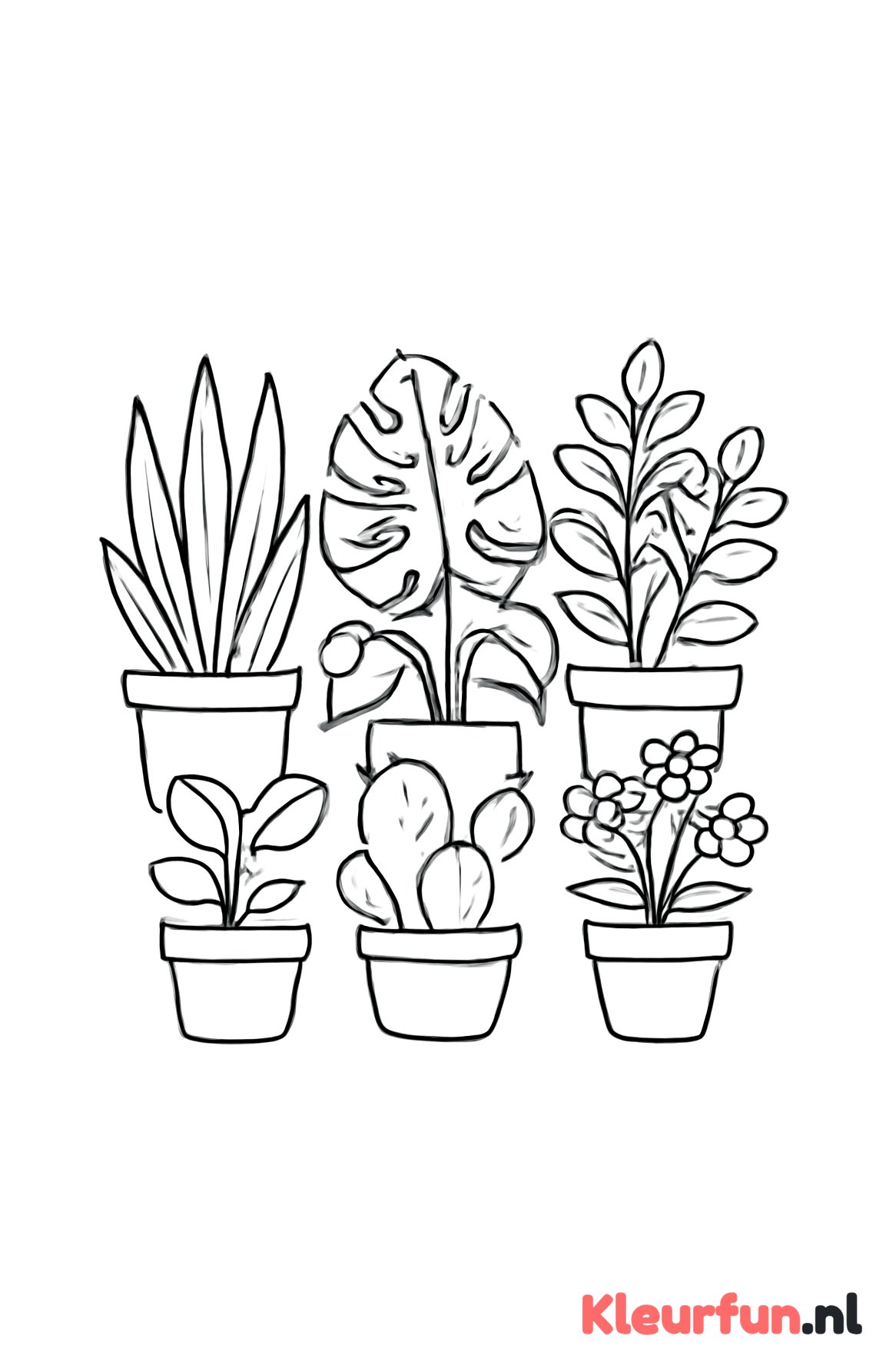 Verschillende planten in potten
