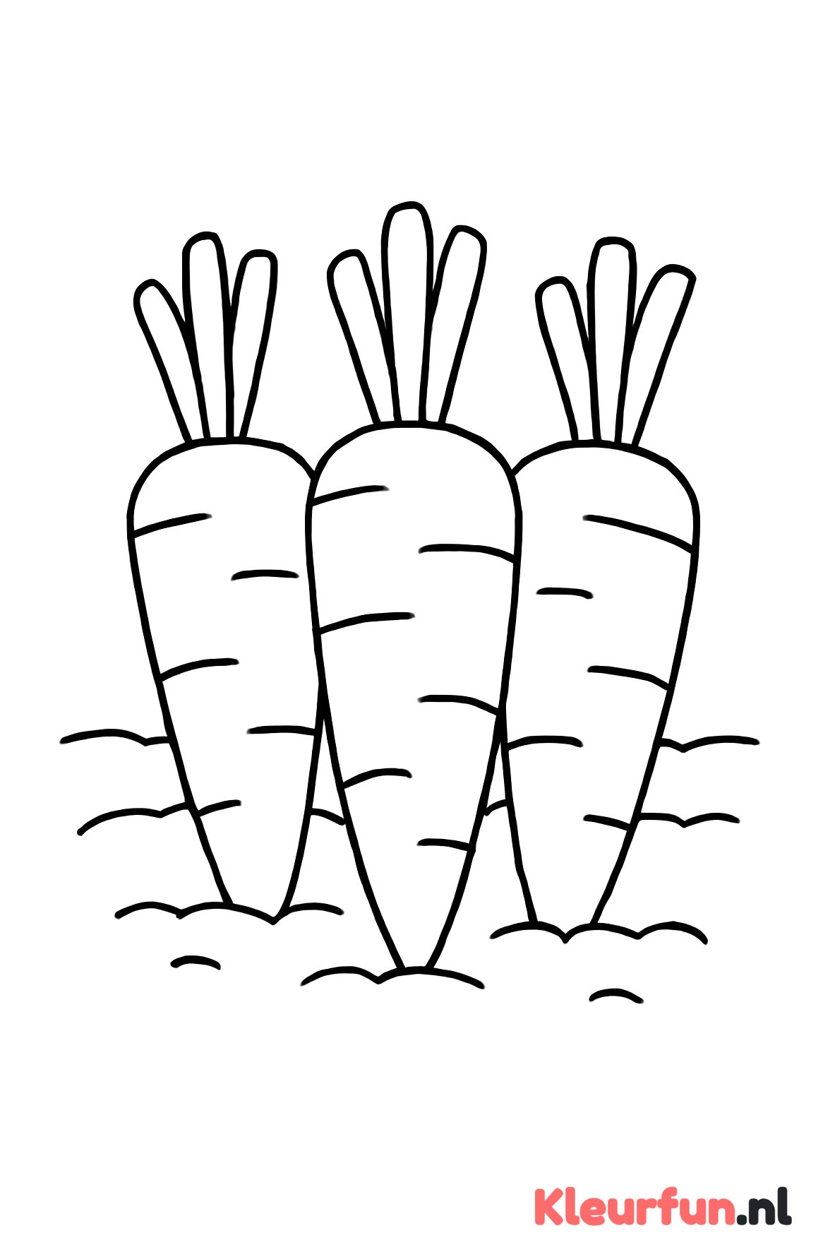 Wortels in de grond