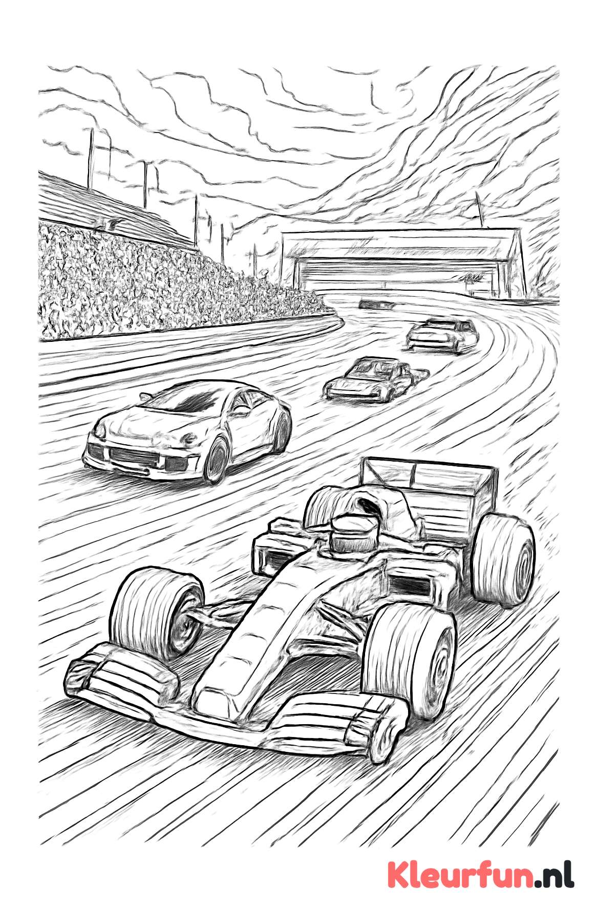 Raceauto's op het circuit