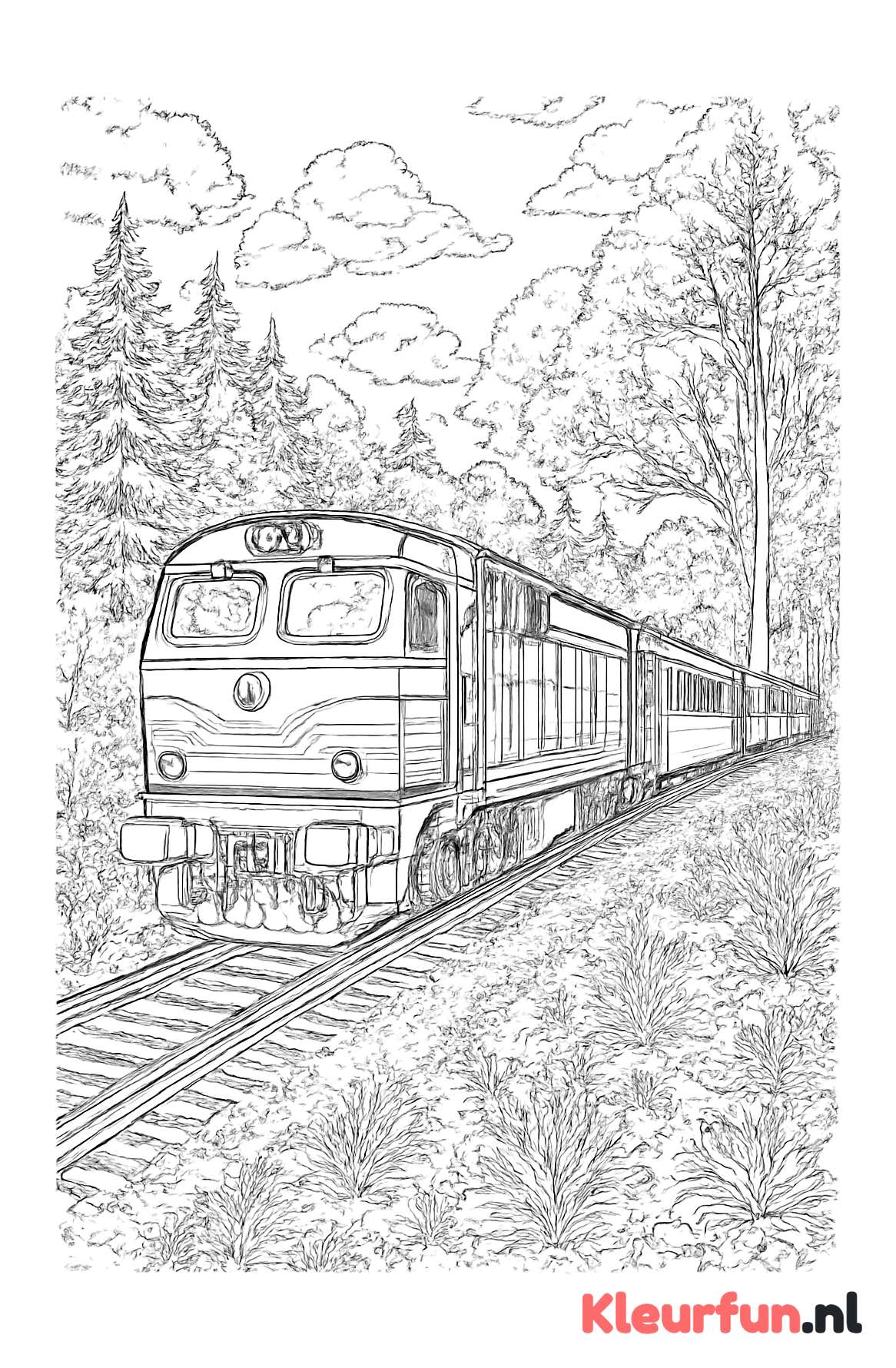 Dieseltrein door Bosrijk Gebied