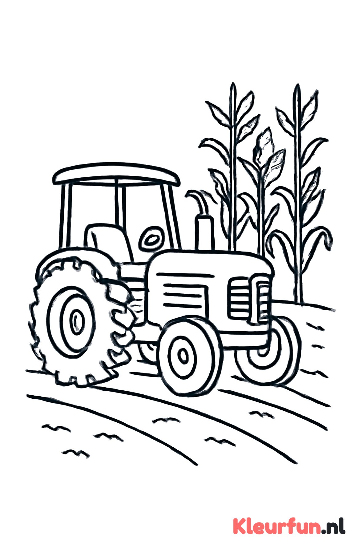 Klassieke tractor op akker met maïs