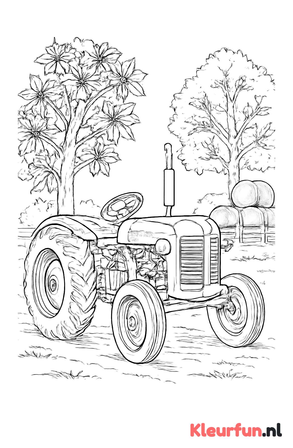 Klassieke tractor bij boerenerf
