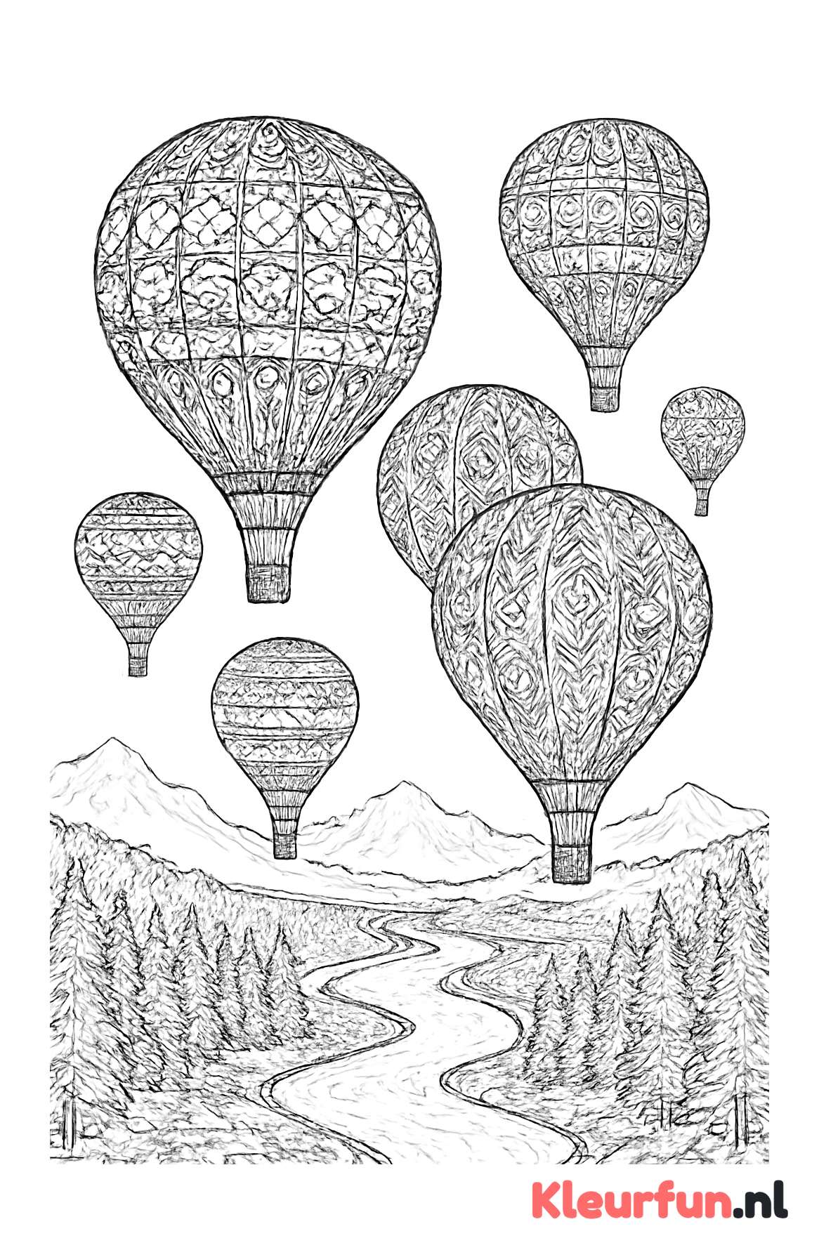 Luchtballonnen boven een landschap