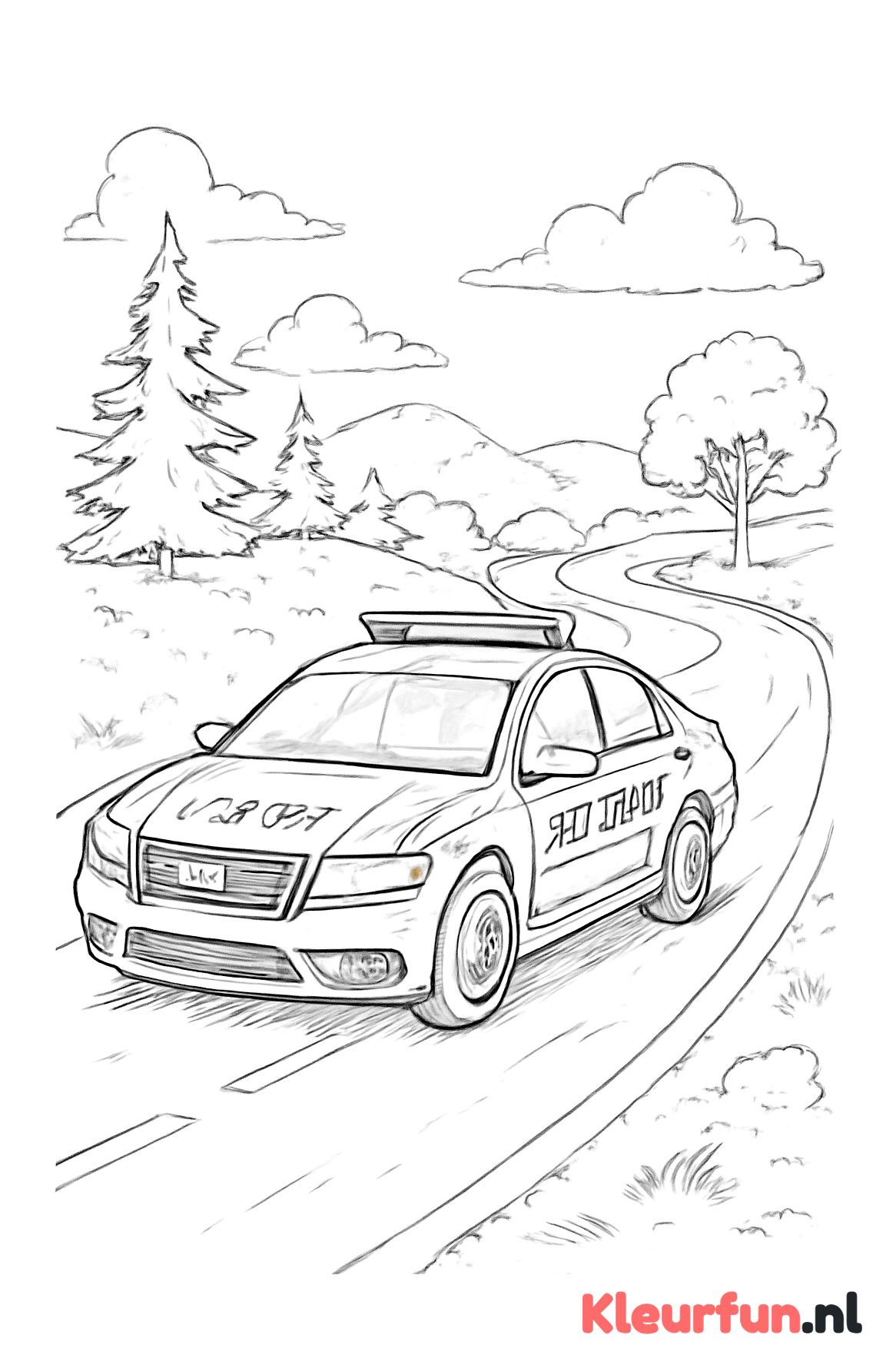 Politieachtervolging op de weg