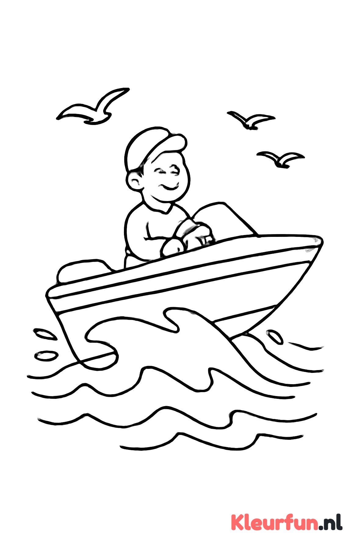 Speedboot met schipper en meeuwen