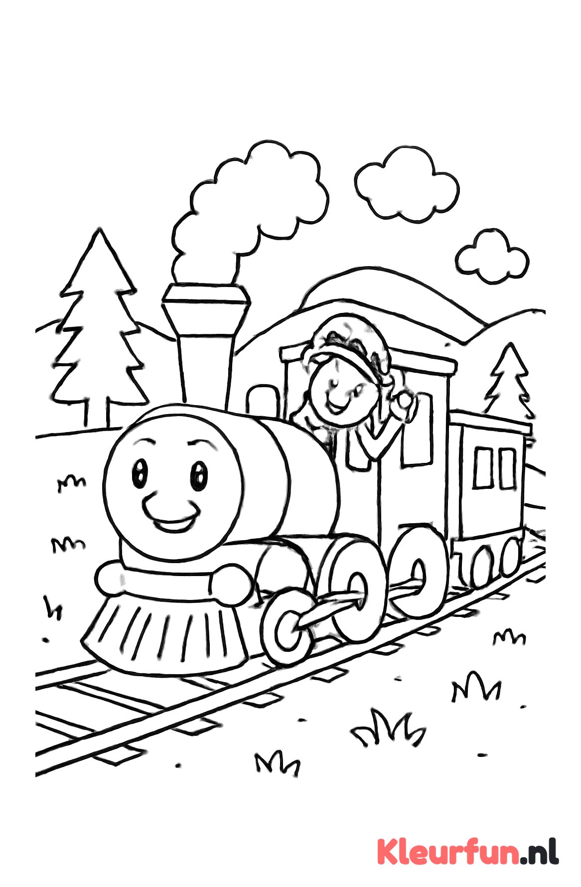 Stoomtrein door landschap